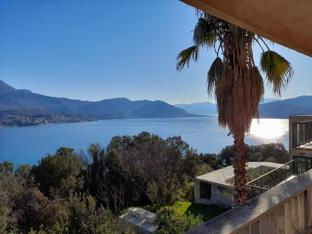 Villa Garden Apartments Herceg Novi Exterior foto