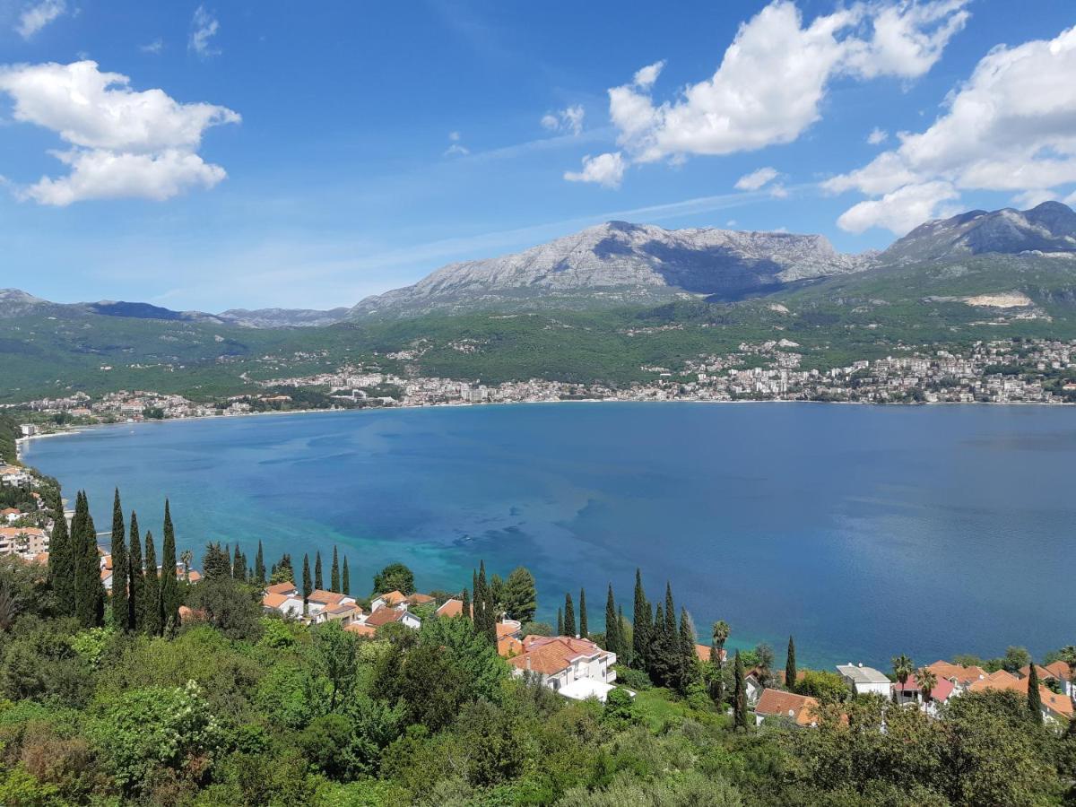 Villa Garden Apartments Herceg Novi Exterior foto