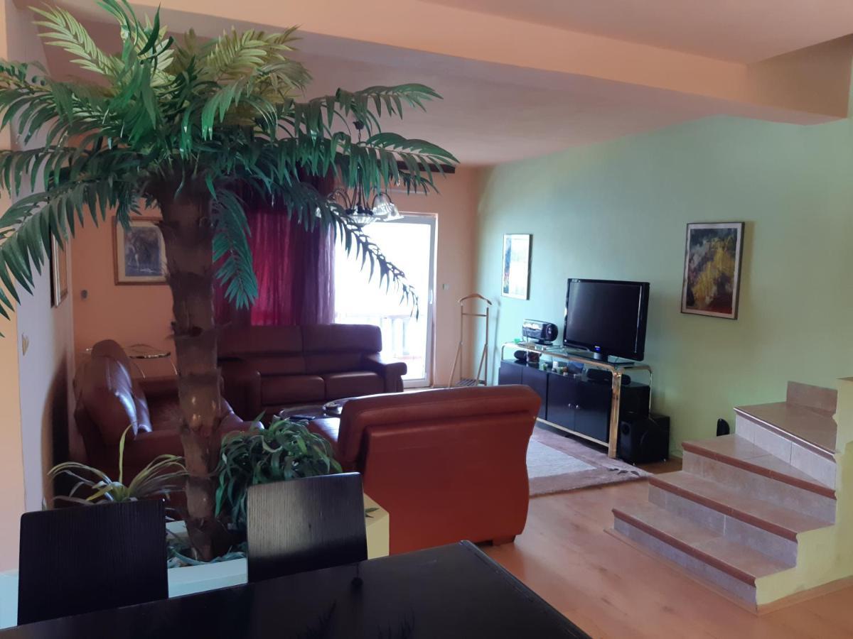 Villa Garden Apartments Herceg Novi Exterior foto