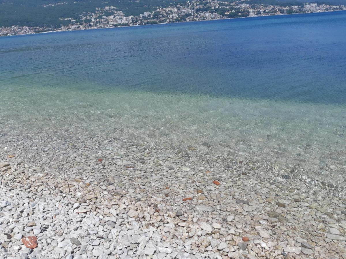 Villa Garden Apartments Herceg Novi Exterior foto