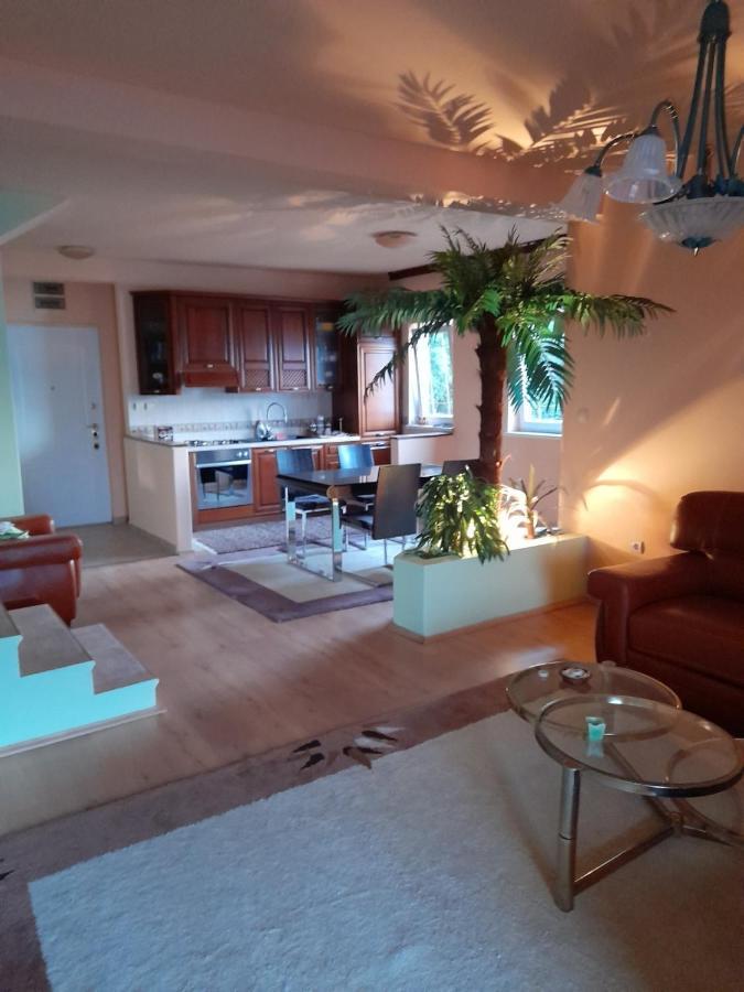Villa Garden Apartments Herceg Novi Exterior foto