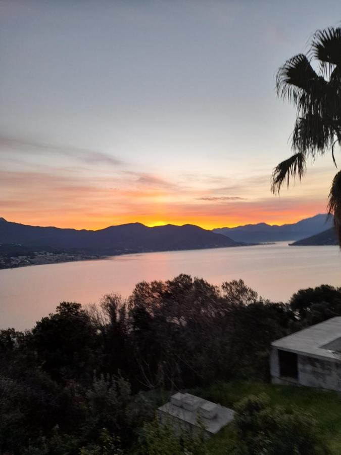 Villa Garden Apartments Herceg Novi Exterior foto